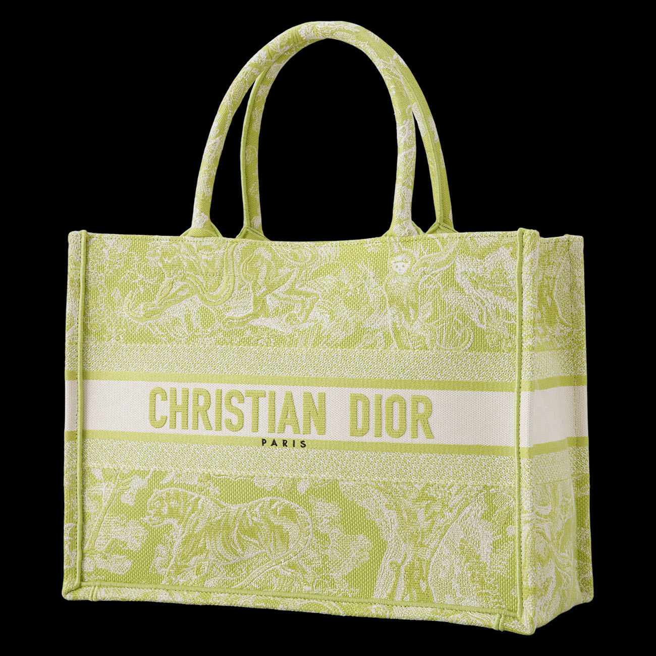 CHRISTIAN DIOR(USED)디올 뜨왈드 주이 북토트 미듐